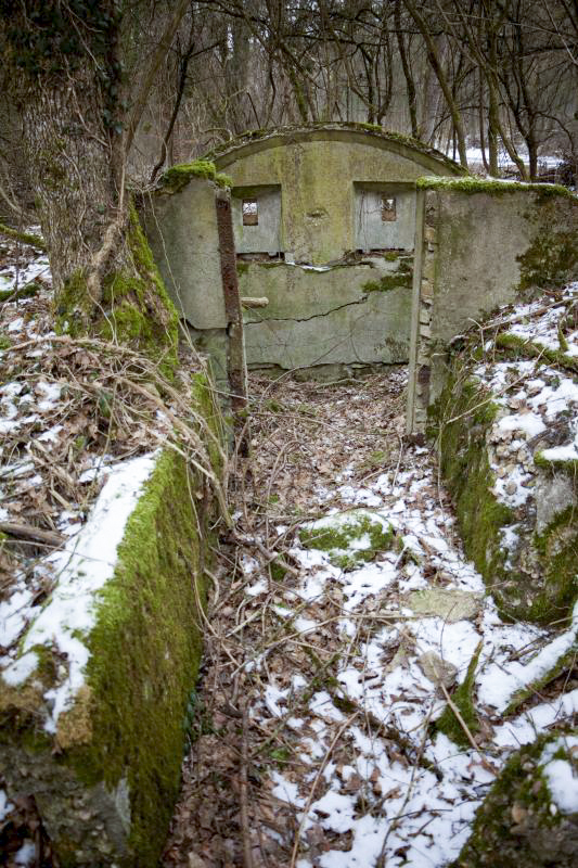 Ligne Maginot - BOIS DE COUME 3 - (Abri) -  - Fré Do