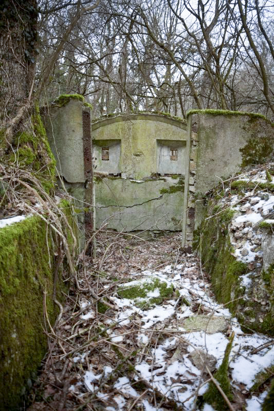 Ligne Maginot - BOIS DE COUME 3 - (Abri) -  - Fré Do