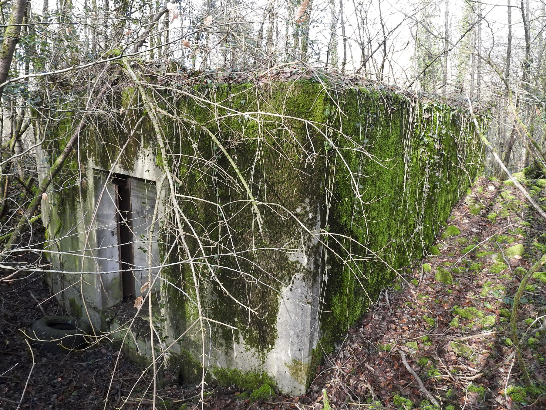 Ligne Maginot - AB32-C - LANDERT NORD - (Blockhaus pour canon) - L'entrée arrière du canon. - STENGER Mathieu