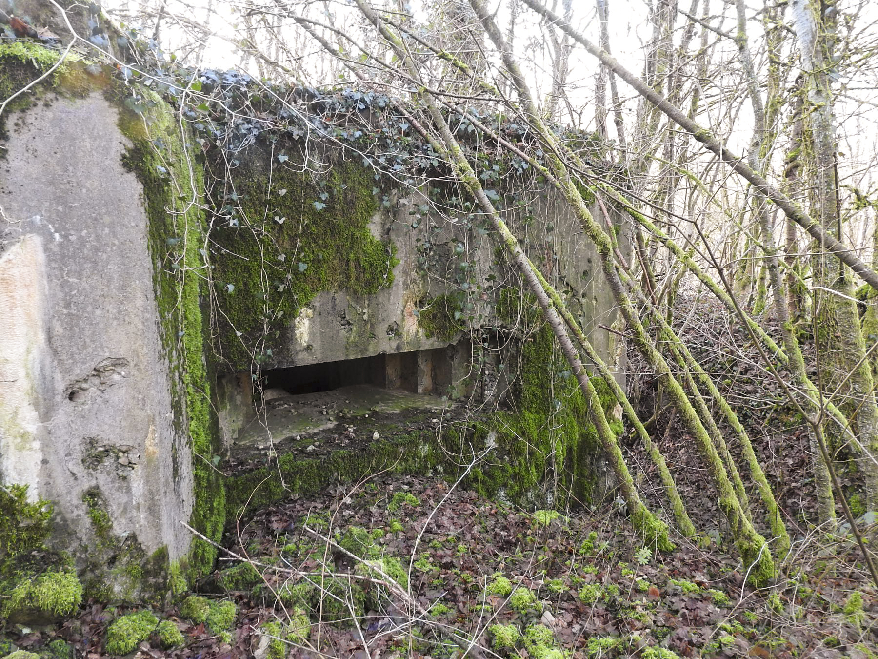 Ligne Maginot - AB32-C - LANDERT NORD - (Blockhaus pour canon) - La façade de tir. - STENGER Mathieu