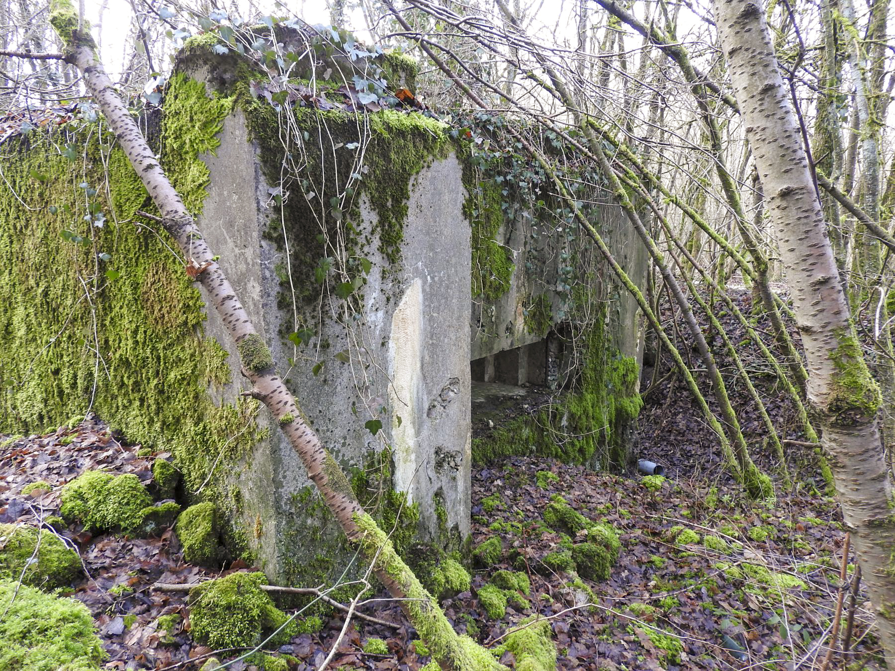 Ligne Maginot - AB32-C - LANDERT NORD - (Blockhaus pour canon) - La façade de tir. - STENGER Mathieu