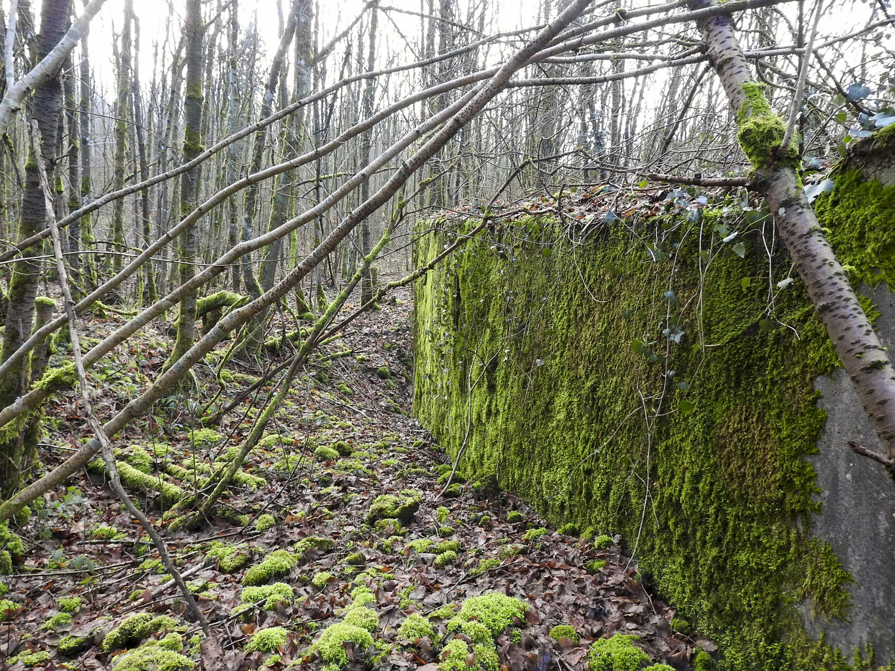 Ligne Maginot - AB32-C - LANDERT NORD - (Blockhaus pour canon) -  - STENGER Mathieu