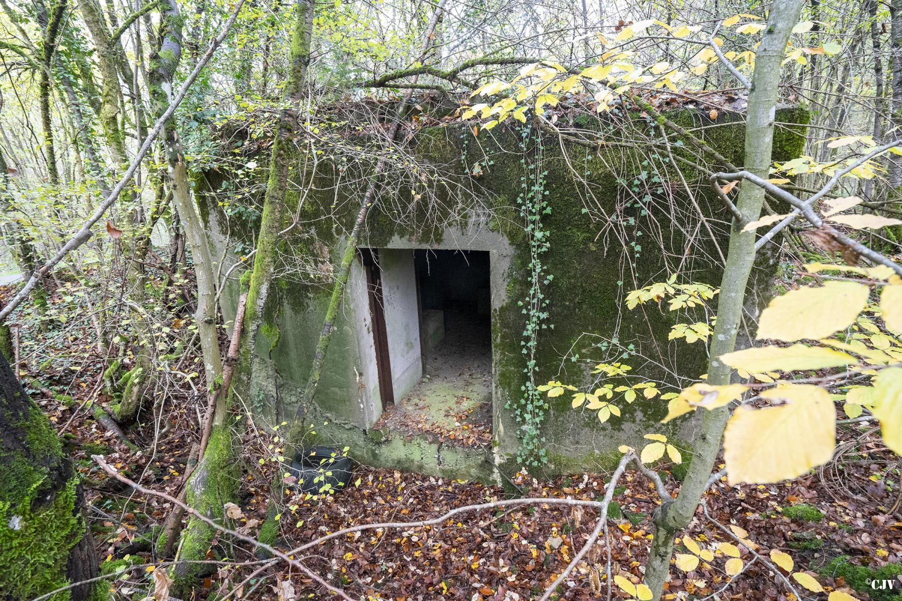 Ligne Maginot - AB32-C - LANDERT NORD - (Blockhaus pour canon) -  - Lia VERMEULEN