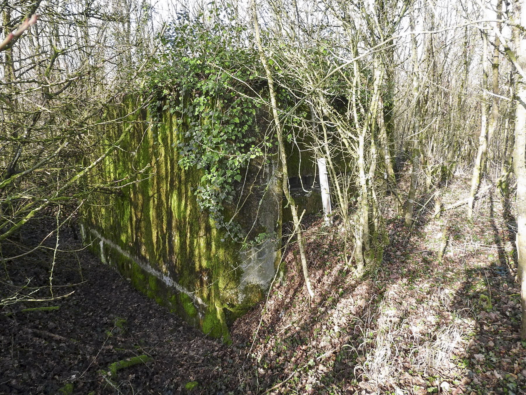 Ligne Maginot - AB32-D - LANDERT SUD - (Blockhaus pour canon) -  - STENGER Mathieu