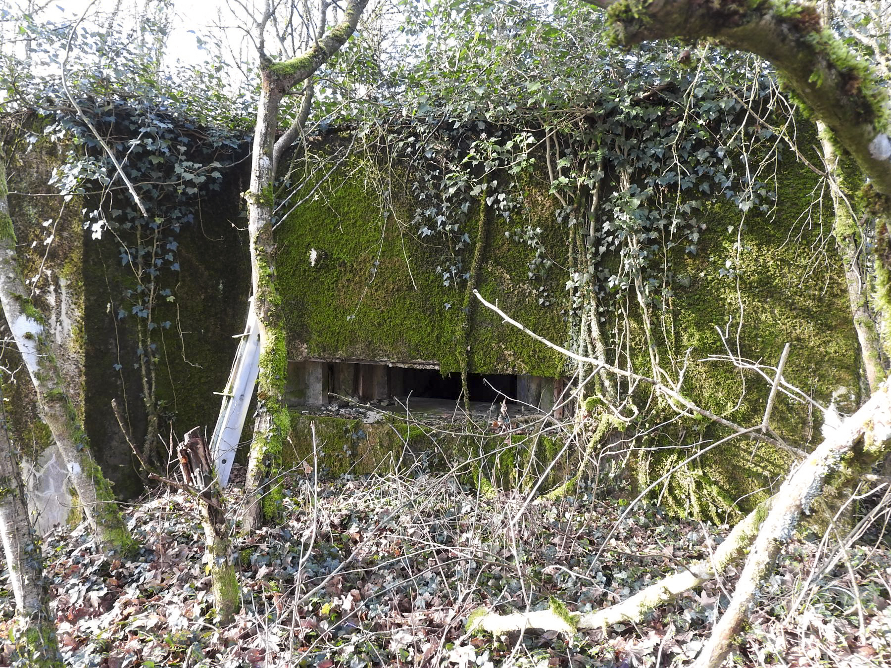 Ligne Maginot - AB32-D - LANDERT SUD - (Blockhaus pour canon) - La façade de tir. - STENGER Mathieu