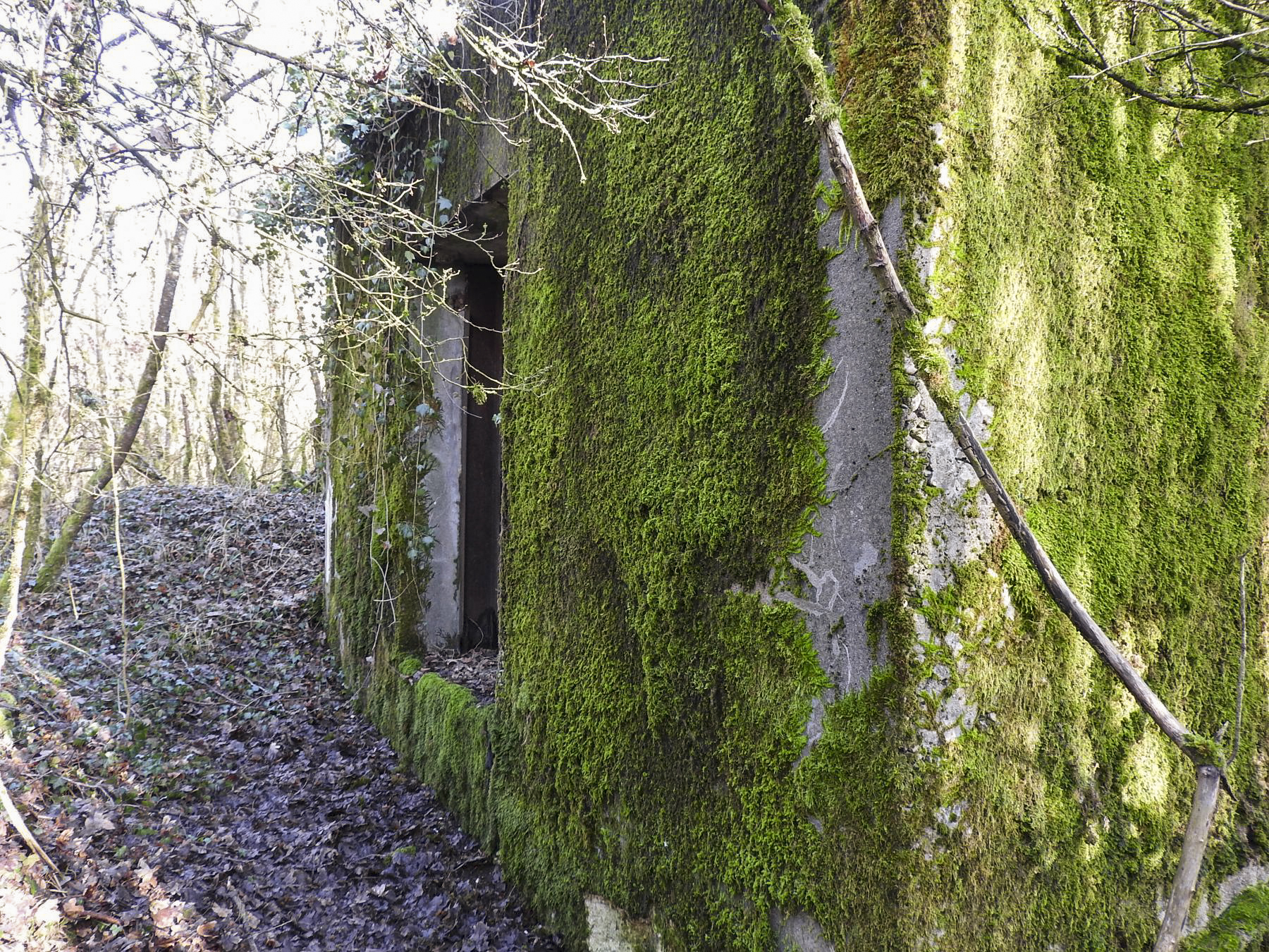 Ligne Maginot - AB32-D - LANDERT SUD - (Blockhaus pour canon) - L'entrée du matériel - STENGER Mathieu