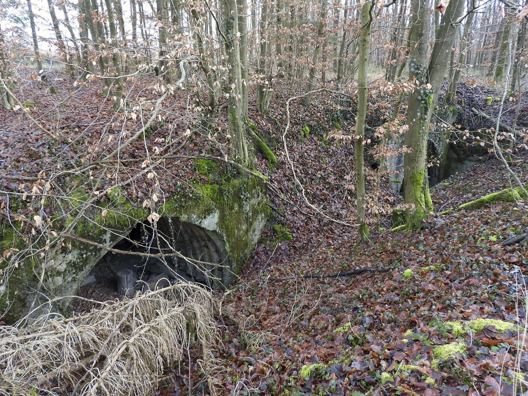 Ligne Maginot - AB32 - BOIS DE COUME 1 - (PC) - Une vue d'ensemble du PC. - STENGER Mathieu