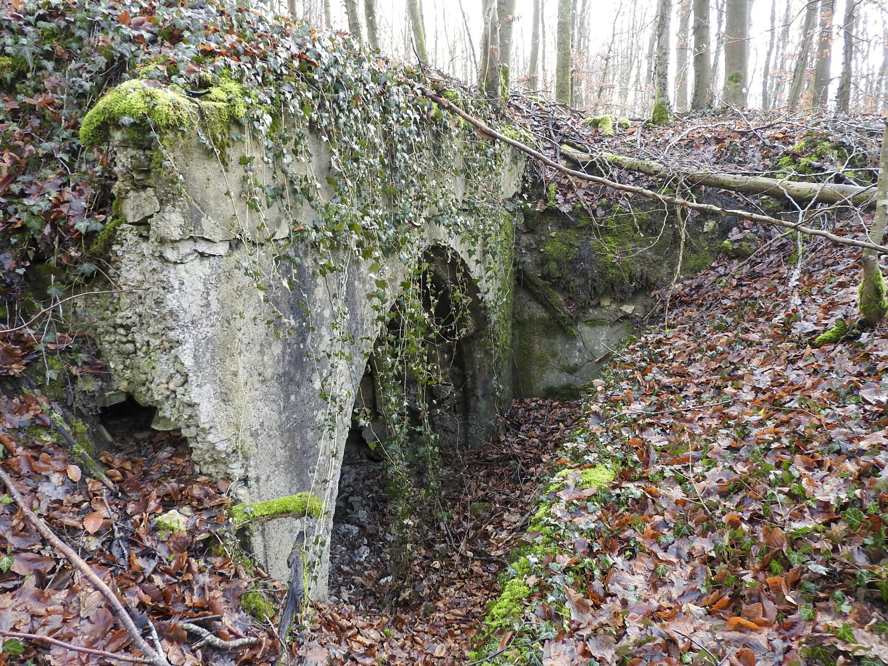 Ligne Maginot - AB32 - BOIS DE COUME 1 - (PC) - La deuxième alvéole. - STENGER Mathieu