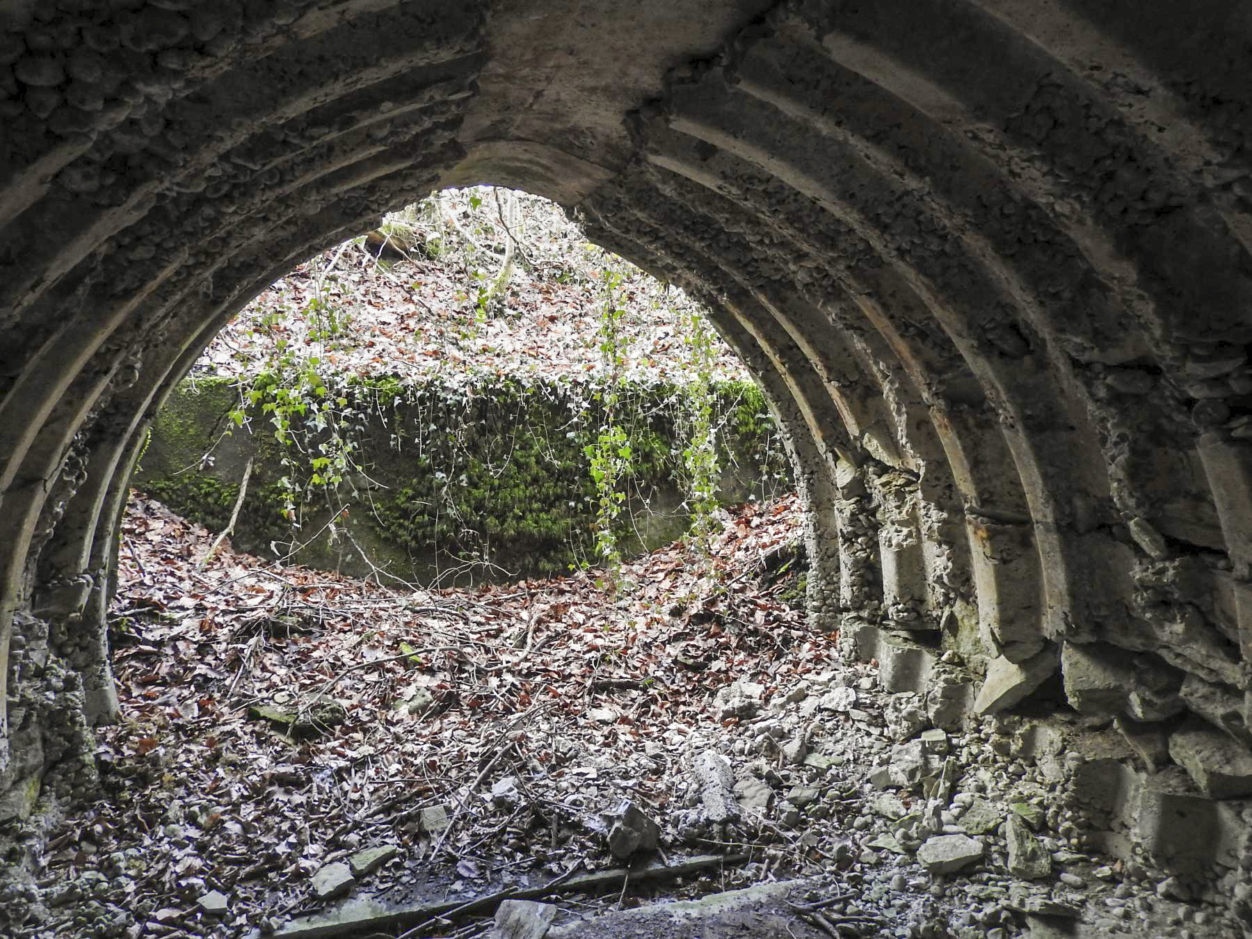 Ligne Maginot - AB32 - BOIS DE COUME 1 - (PC) - La deuxième alvéole; le mur de soutènement à l'arrière. - STENGER Mathieu