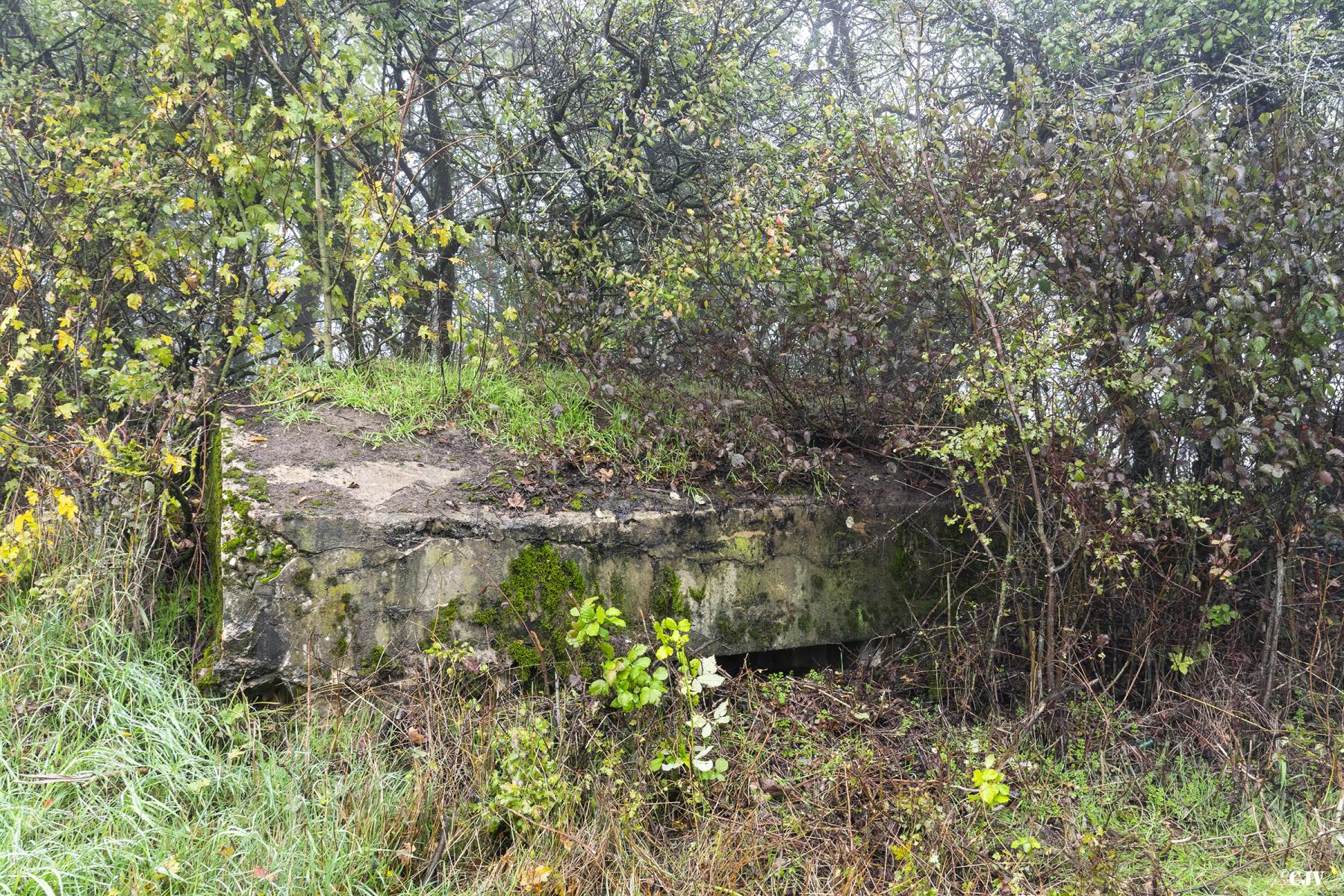 Ligne Maginot - LANGEN EST - (Blockhaus pour arme infanterie) -  - Lia VERMEULEN