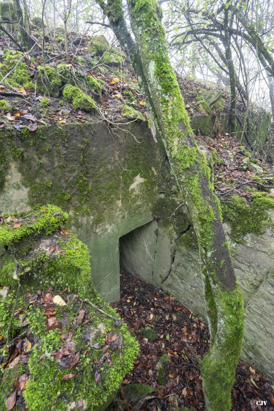 Ligne Maginot - LANGEN EST - (Blockhaus pour arme infanterie) - Une des deux entrées - Lia VERMEULEN