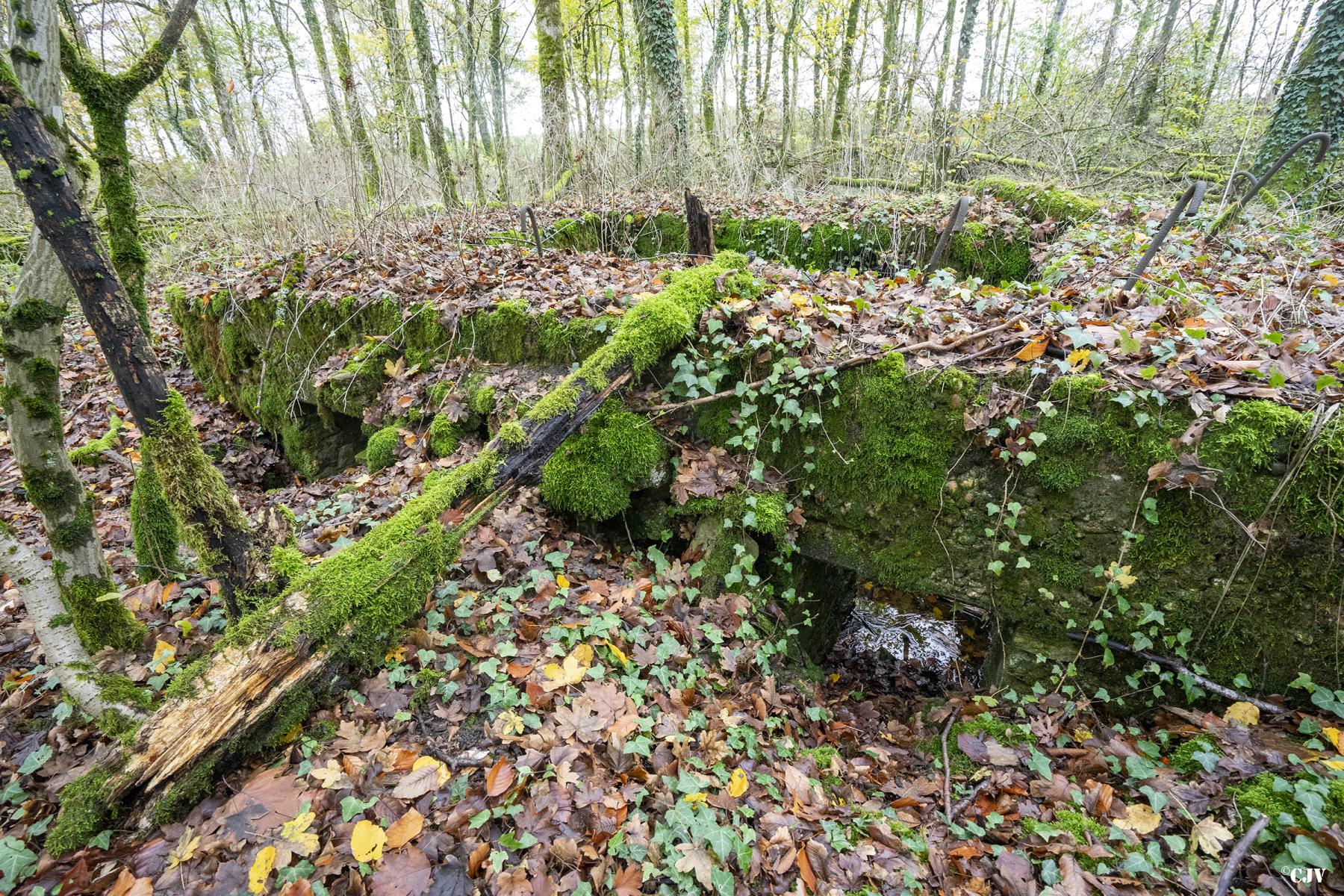 Ligne Maginot - MEDERCHEN NORD 2 - (Blockhaus pour arme infanterie) -  - Lia VERMEULEN