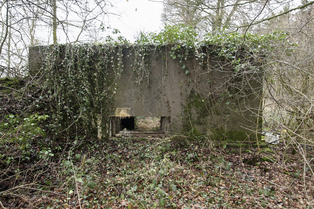 Ligne Maginot - BB144- SCHIDELBERG - (Blockhaus pour canon) -  - GRUBER Franck