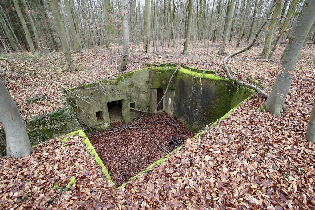 Ligne Maginot - SCHIDELBERG (QUARTIER TéTERCHEN - II/161° RIF) - (PC de Quartier) - Vue d'ensemble du PC - GRUBER Franck