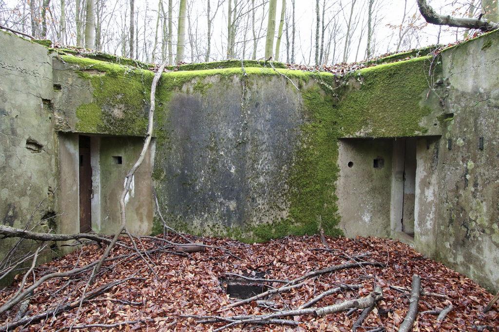Ligne Maginot - SCHIDELBERG (QUARTIER TéTERCHEN - II/161° RIF) - (PC de Quartier) - Le PC et ses deux entrées - GRUBER Franck