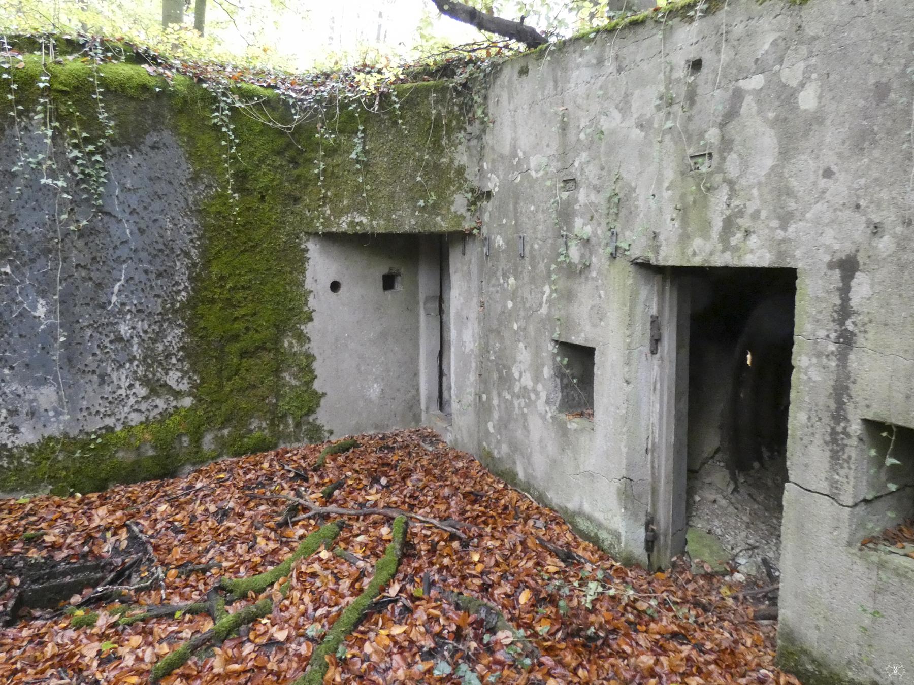 Ligne Maginot - SCHIDELBERG (QUARTIER TéTERCHEN - II/161° RIF) - (PC de Quartier) - Abri tôle métro et entrée droite du PC - Vincent Vermeulen