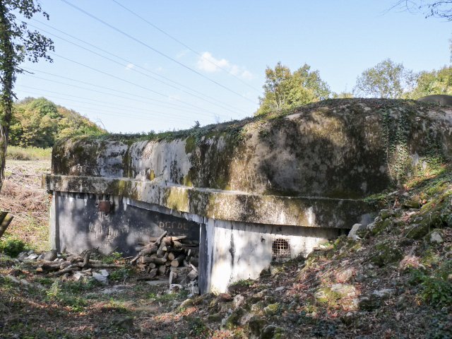 Ligne Maginot - BOIS DE LAUDREFANG NORD - C76 - (Casemate d'infanterie - Simple) - La façade arrière de la casemate - ASPOLT