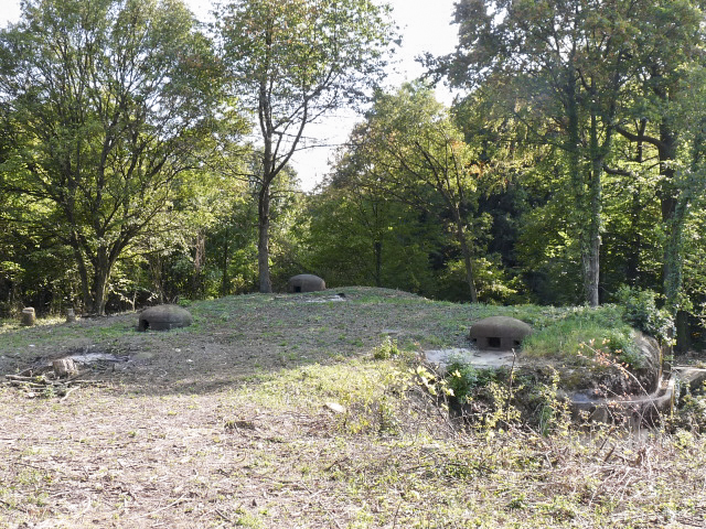 Ligne Maginot - BOIS DE LAUDREFANG NORD - C76 - (Casemate d'infanterie - Simple) - Les dessus - ASPOLT