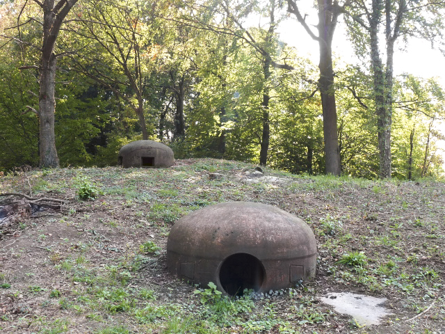 Ligne Maginot - BOIS DE LAUDREFANG NORD - C76 - (Casemate d'infanterie - Simple) - Les dessus
Les deux cloches mitrailleuses et arme mixte - ASPOLT