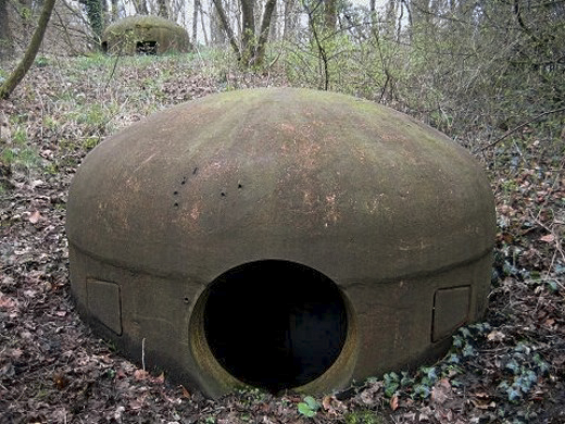 Ligne Maginot - BOIS DE LAUDREFANG NORD - C76 - (Casemate d'infanterie - Simple) - La cloche mitrailleuses modifiée en arme mixte - AALMA - www.lignemaginot.com