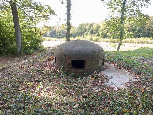 Ligne Maginot - BOIS DE LAUDREFANG NORD - C76 - (Casemate d'infanterie - Simple) - Les dessus
La cloche GFM - ASPOLT