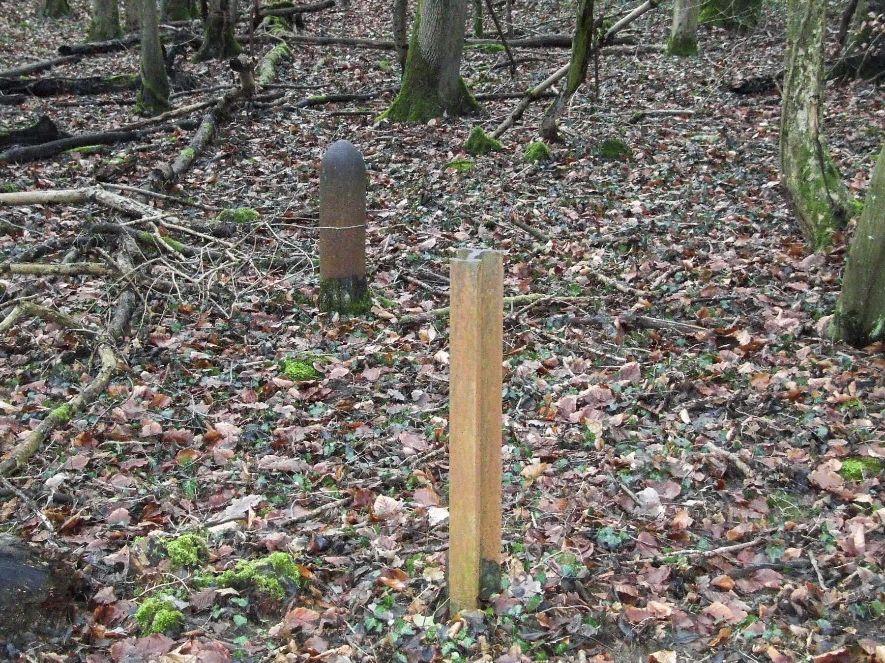 Ligne Maginot - BOIS DE LAUDREFANG NORD - C76 - (Casemate d'infanterie - Simple) - Vestiges du réseau anti-char près de la casemate - STENGER Mathieu