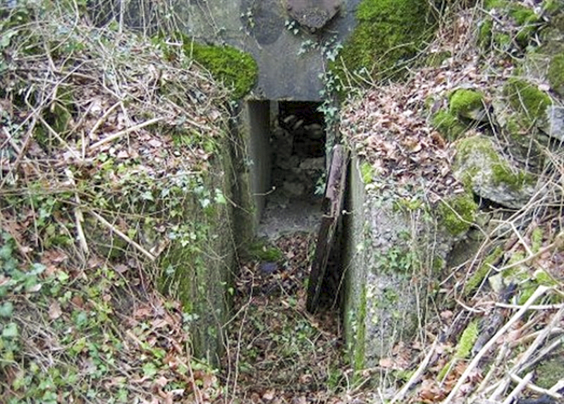 Ligne Maginot - Ab38bis - BOIS de LAUDREFANG 5 (Blockhaus pour canon) -  - AALMA - www.lignemaginot.com