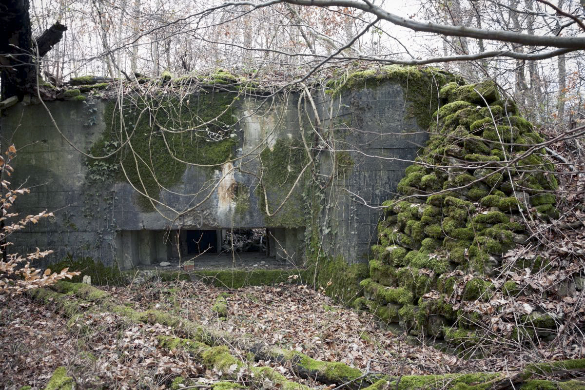 Ligne Maginot - AB38BIS - BOIS DE LAUDREFANG 5 - (Blockhaus pour canon) -  - Fré Do