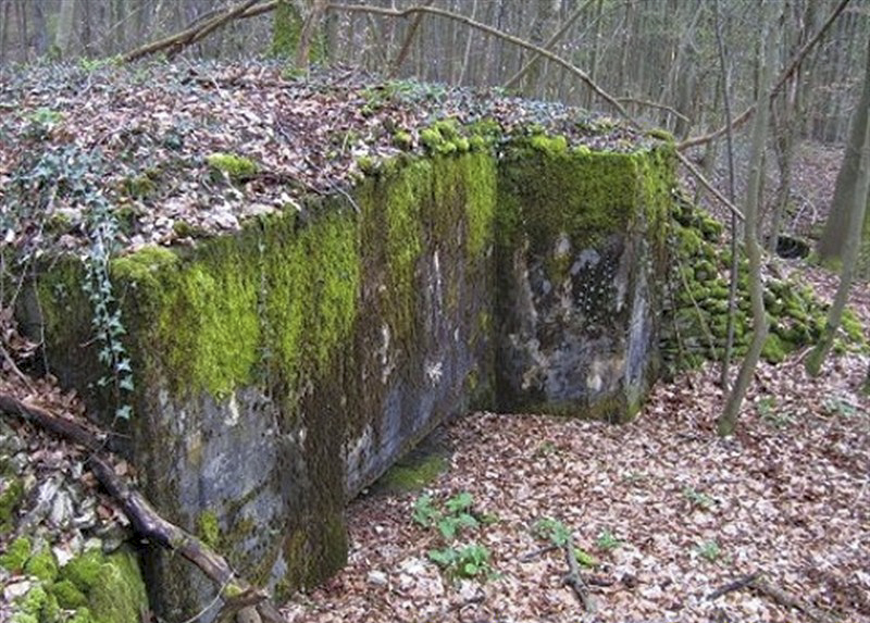 Ligne Maginot - Ab38 - BOIS de LAUDREFANG 6 (Blockhaus pour canon) -  - AALMA - www.lignemaginot.com