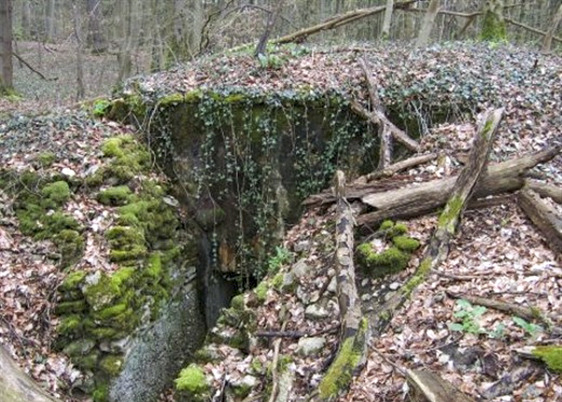 Ligne Maginot - Ab38 - BOIS de LAUDREFANG 6 (Blockhaus pour canon) -  - AALMA - www.lignemaginot.com