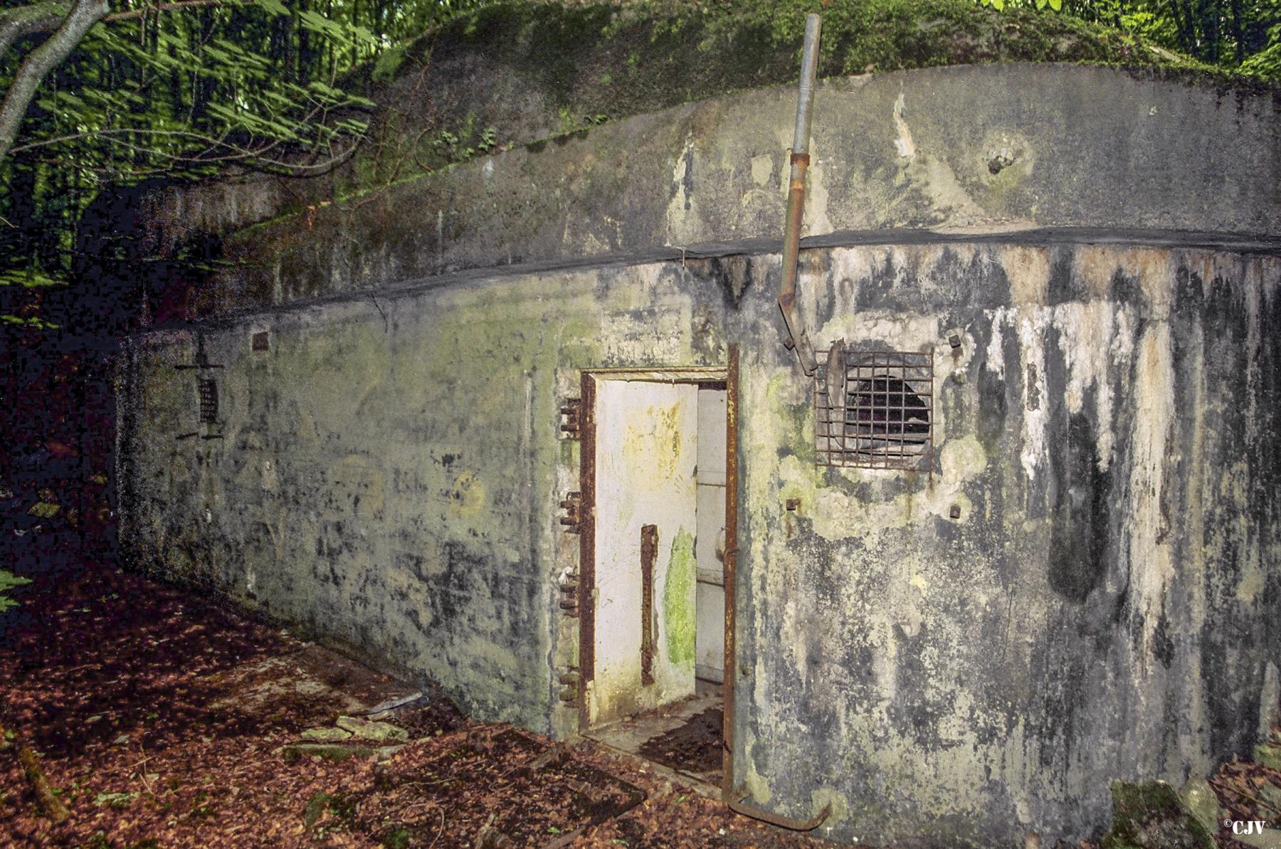 Ligne Maginot - BOIS DE LAUDREFANG SUD - C77 - (Casemate d'infanterie - Simple) -  - Lia VERMEULEN