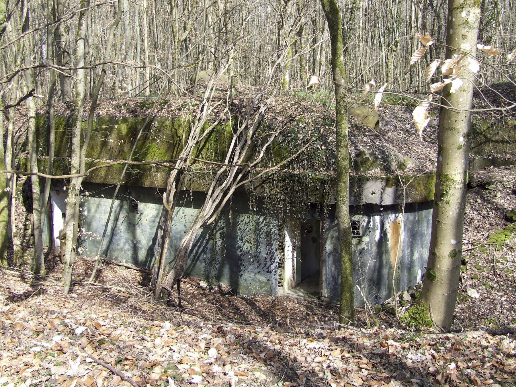 Ligne Maginot - BOIS DE LAUDREFANG SUD - C77 - (Casemate d'infanterie - Simple) - La casemate sud - STENGER Mathieu