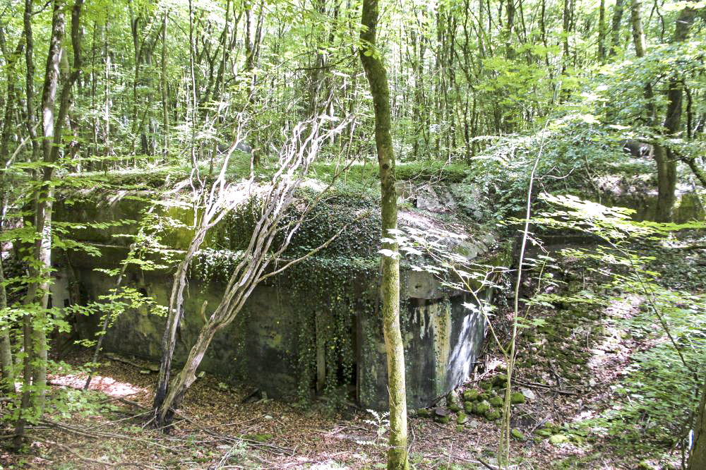 Ligne Maginot - BOIS DE LAUDREFANG SUD - C77 - (Casemate d'infanterie - Simple) - Face arrière - Jolas, Jean-Michel
