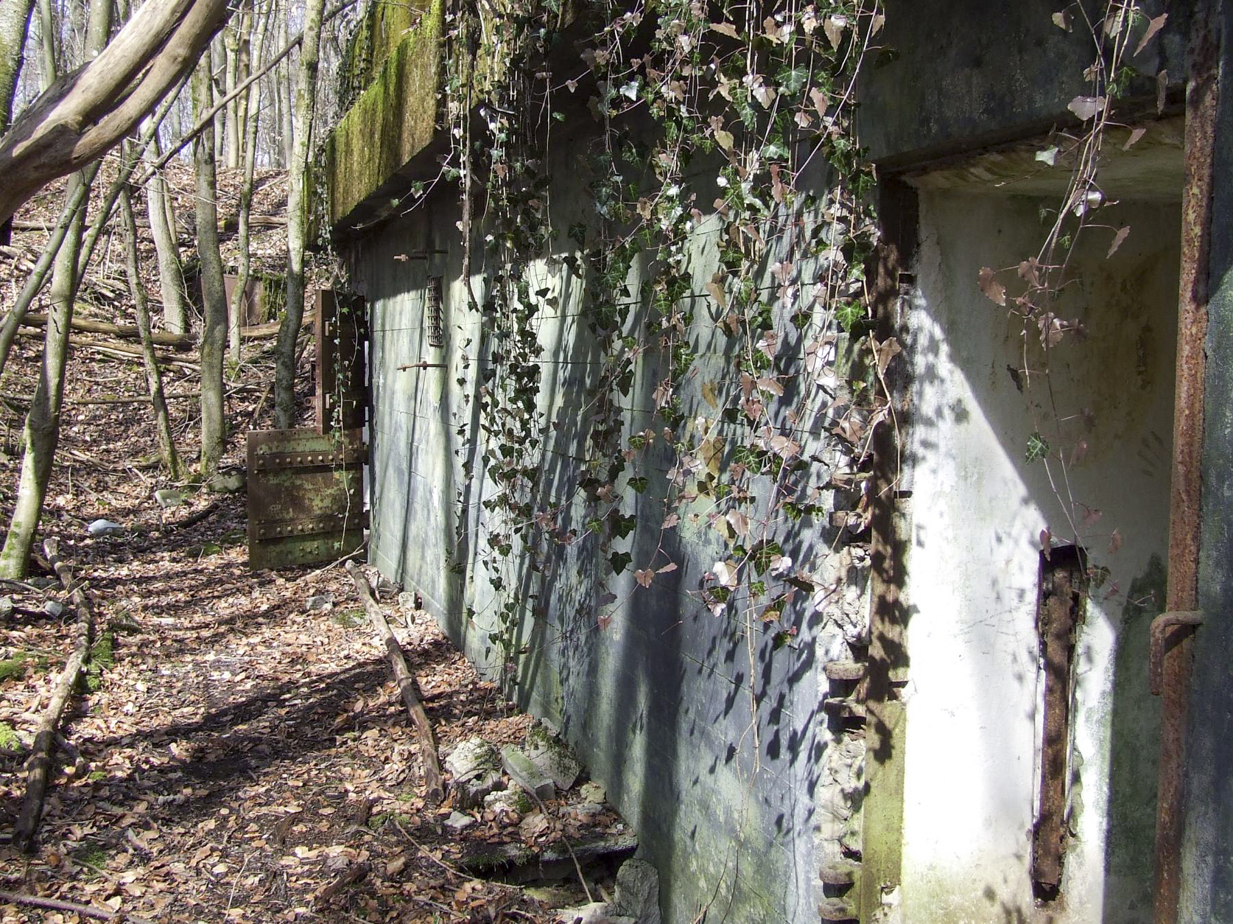 Ligne Maginot - BOIS DE LAUDREFANG SUD - C77 - (Casemate d'infanterie - Simple) - La façade arrière
 - STENGER Mathieu