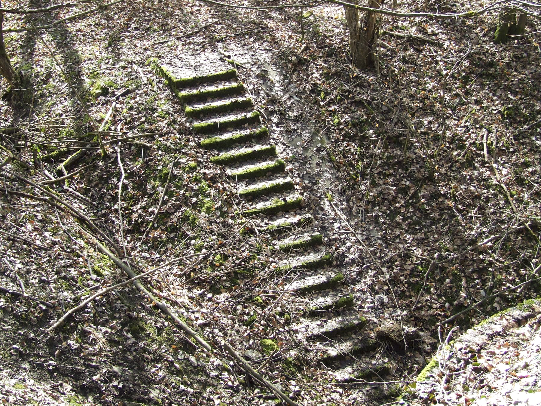 Ligne Maginot - BOIS DE LAUDREFANG SUD - C77 - (Casemate d'infanterie - Simple) - L'escalier d'accès à la casemate
 - STENGER Mathieu