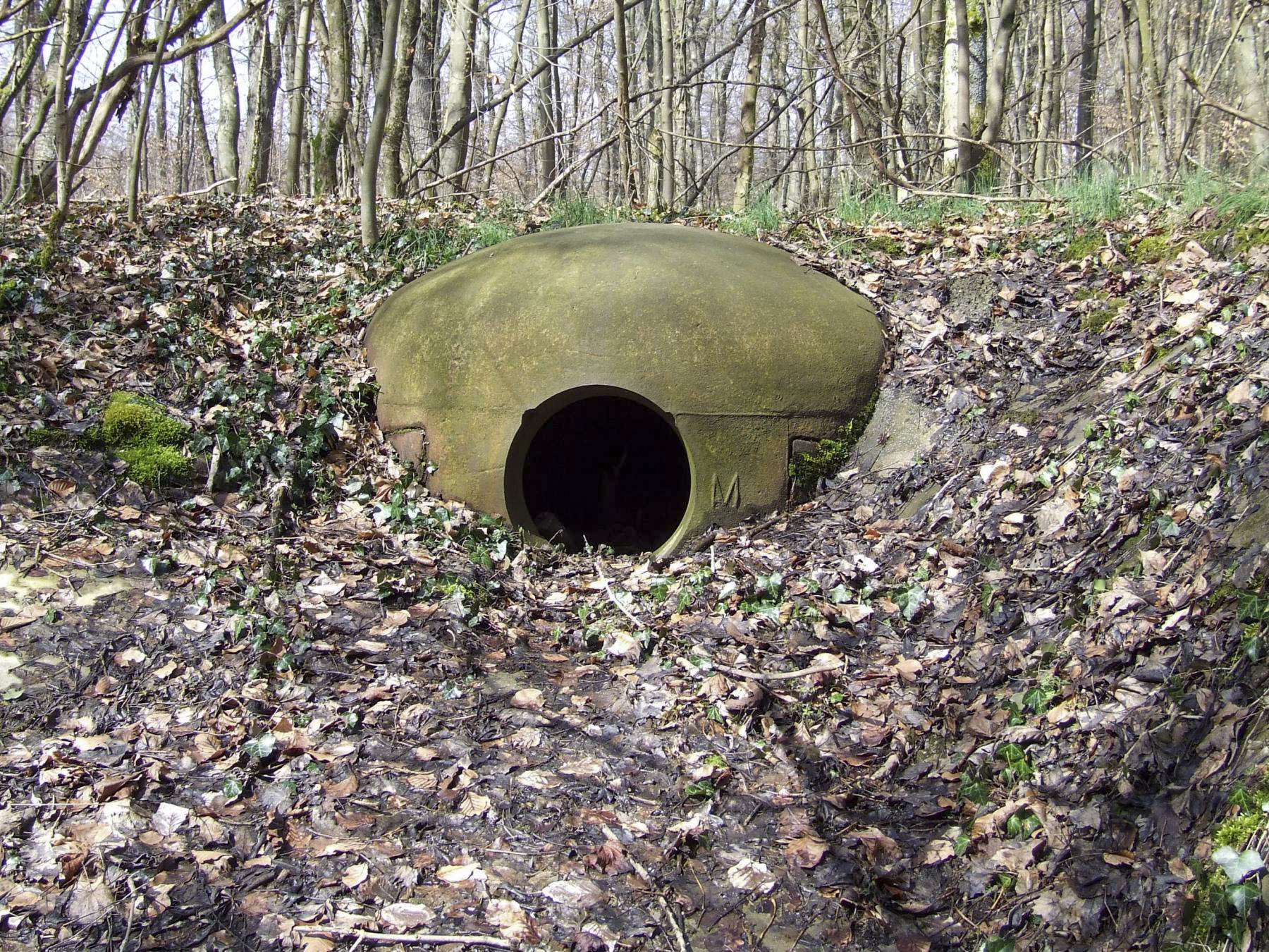 Ligne Maginot - BOIS DE LAUDREFANG SUD - C77 - (Casemate d'infanterie - Simple) - La cloche JM modifiée AM - STENGER Mathieu