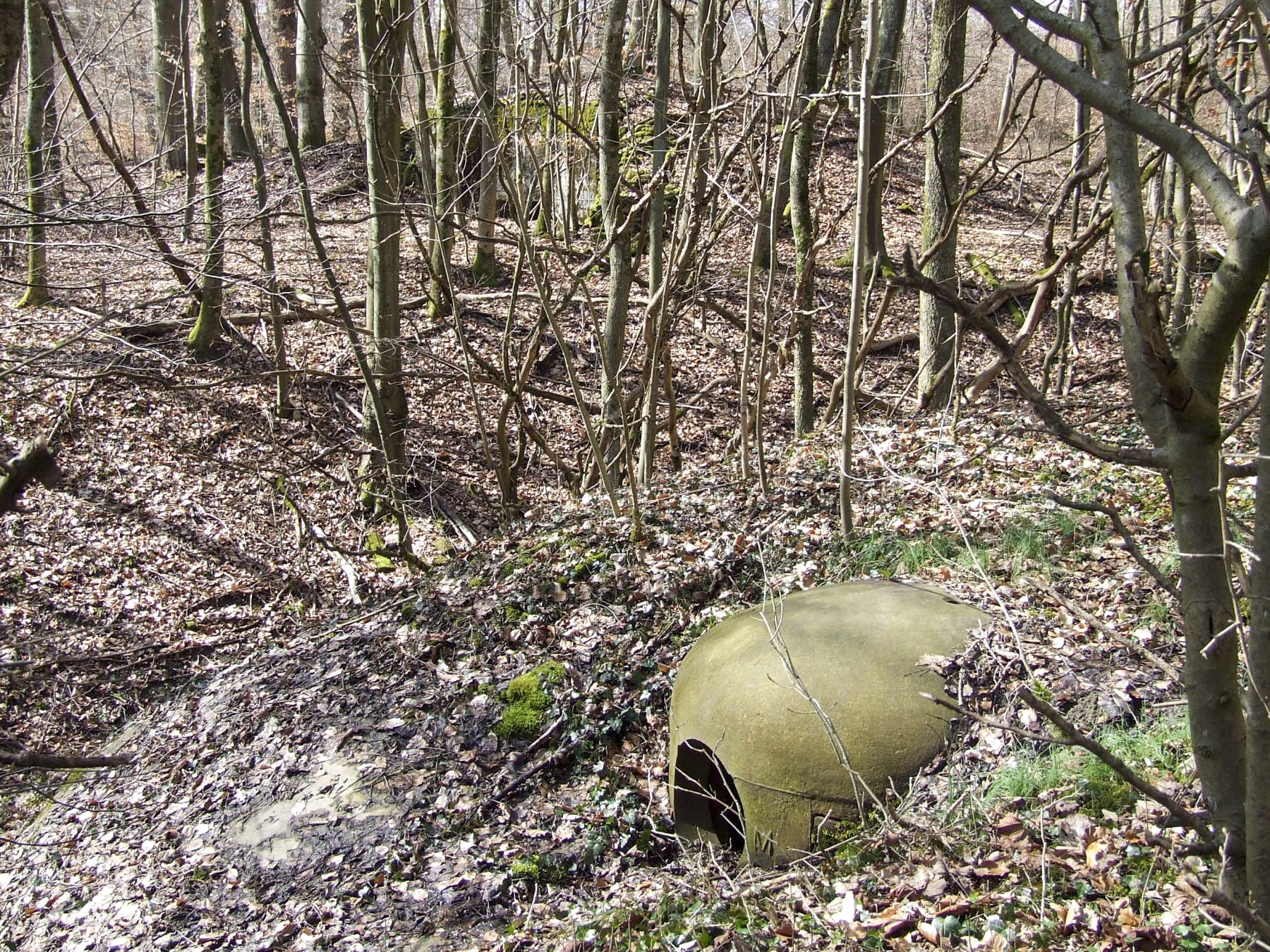 Ligne Maginot - BOIS DE LAUDREFANG SUD - C77 - (Casemate d'infanterie - Simple) - La cloche AM avec le blockhaus anti-char à l'arrière plan
 - STENGER Mathieu