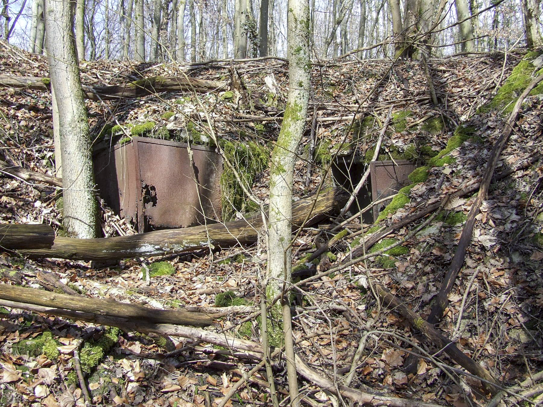 Ligne Maginot - BOIS DE LAUDREFANG SUD - C77 - (Casemate d'infanterie - Simple) - Les niches à mines - STENGER Mathieu