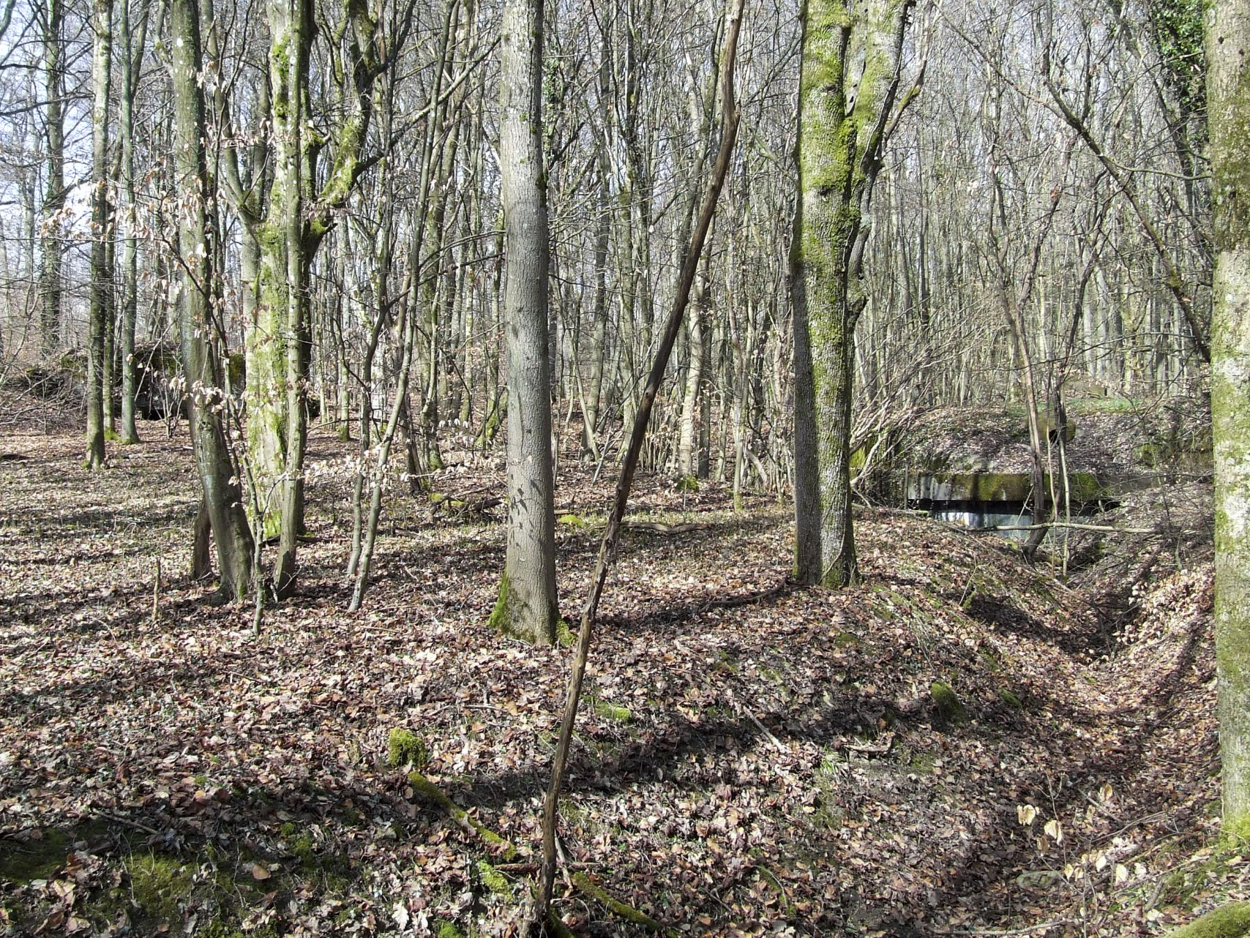 Ligne Maginot - BOIS DE LAUDREFANG SUD - C77 - (Casemate d'infanterie - Simple) - La casemate et le blockhaus anti-char
 - STENGER Mathieu