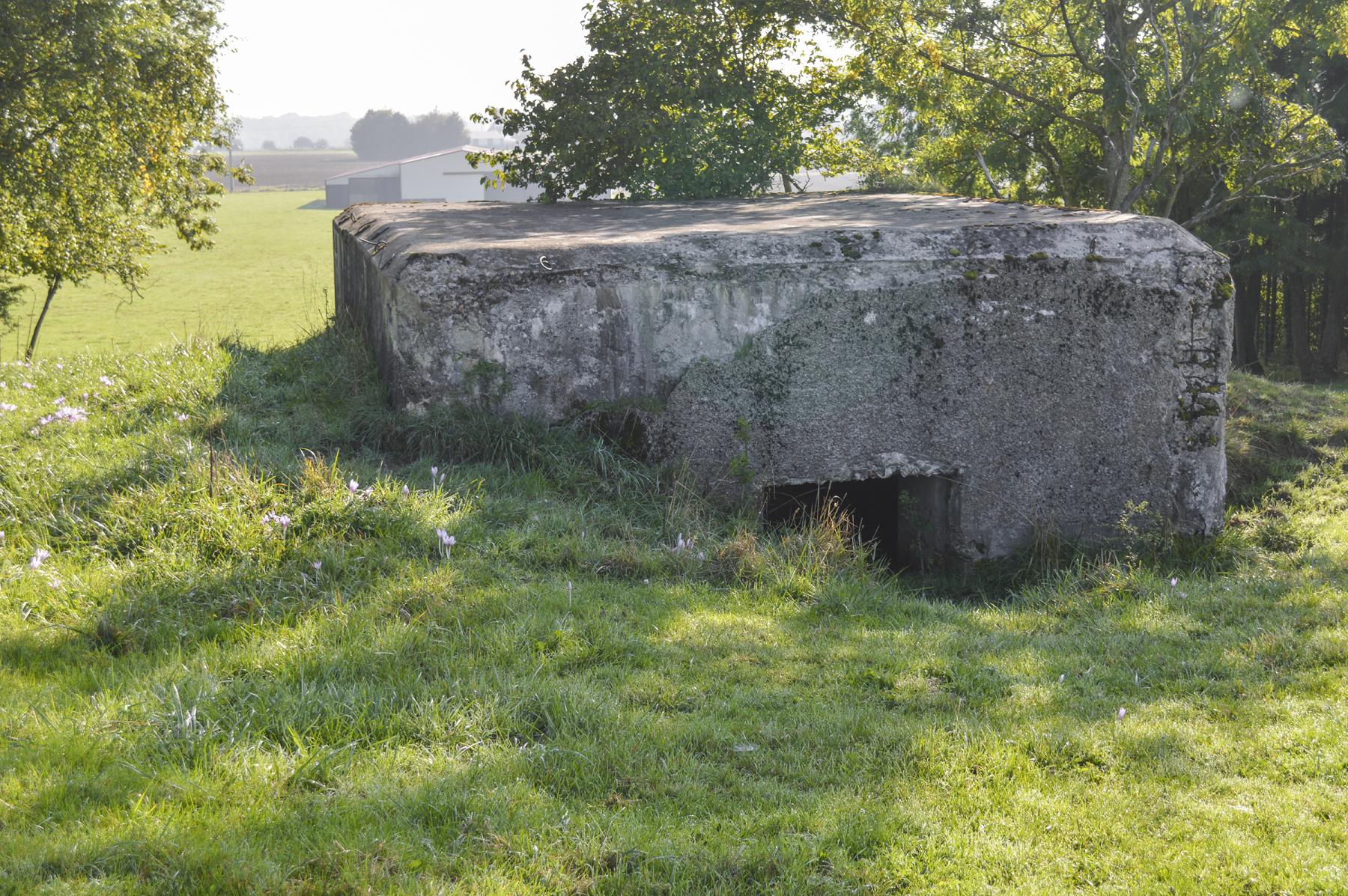 Ligne Maginot - DB244 - (Blockhaus pour canon) -  - ukmaginot