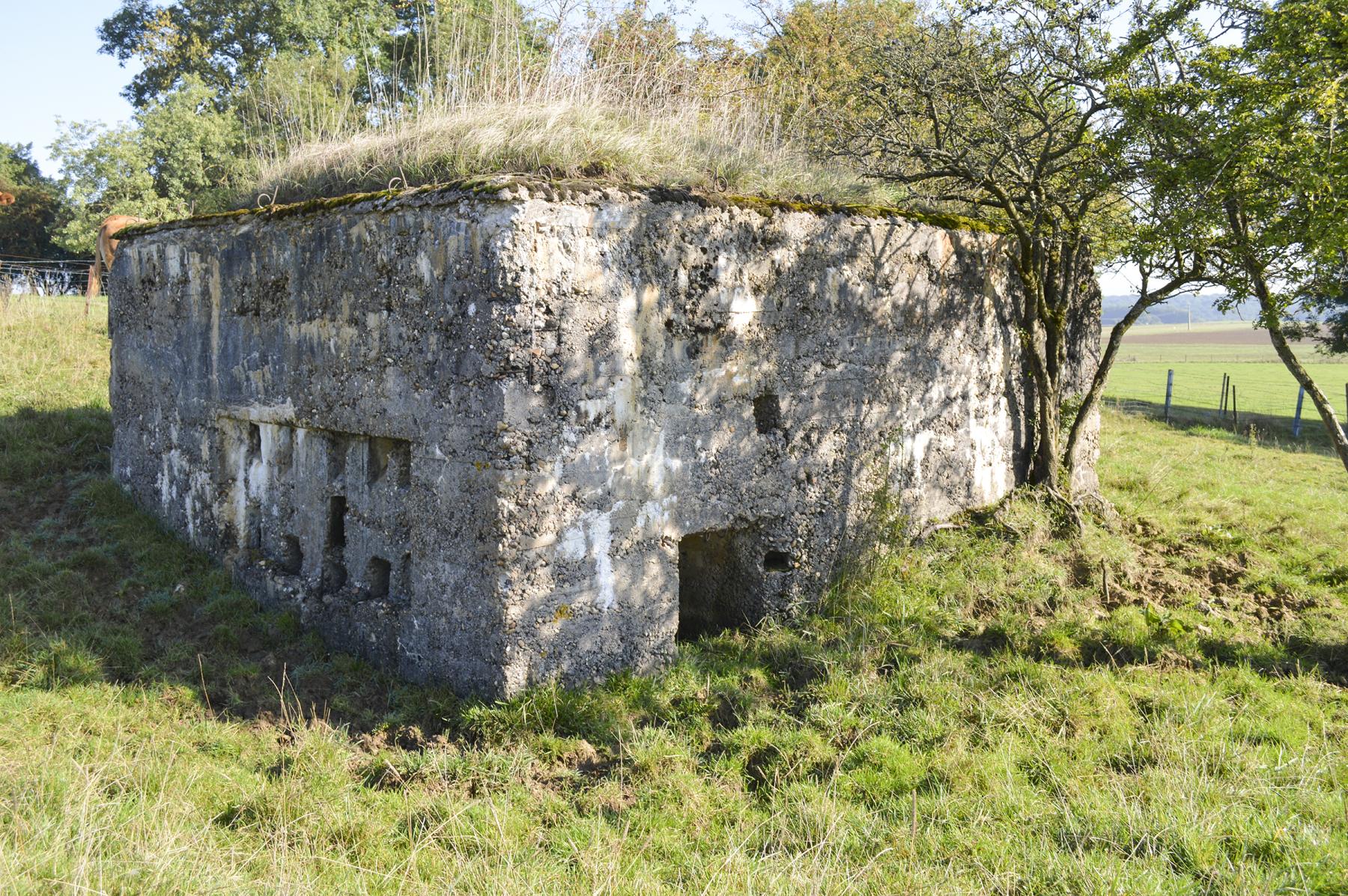 Ligne Maginot - DB243 - (Blockhaus pour arme infanterie) -  - ukmaginot