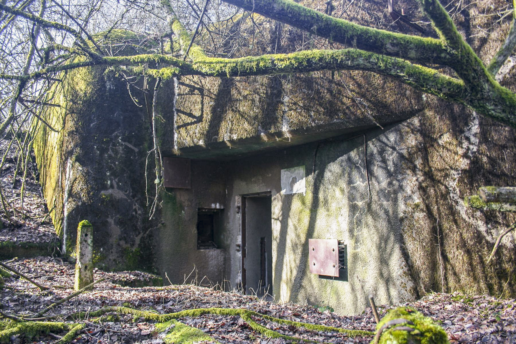 Ligne Maginot - ROUTE DU LUXEMBOURG - O10 - (Observatoire d'artillerie) -  - Michel Teiten