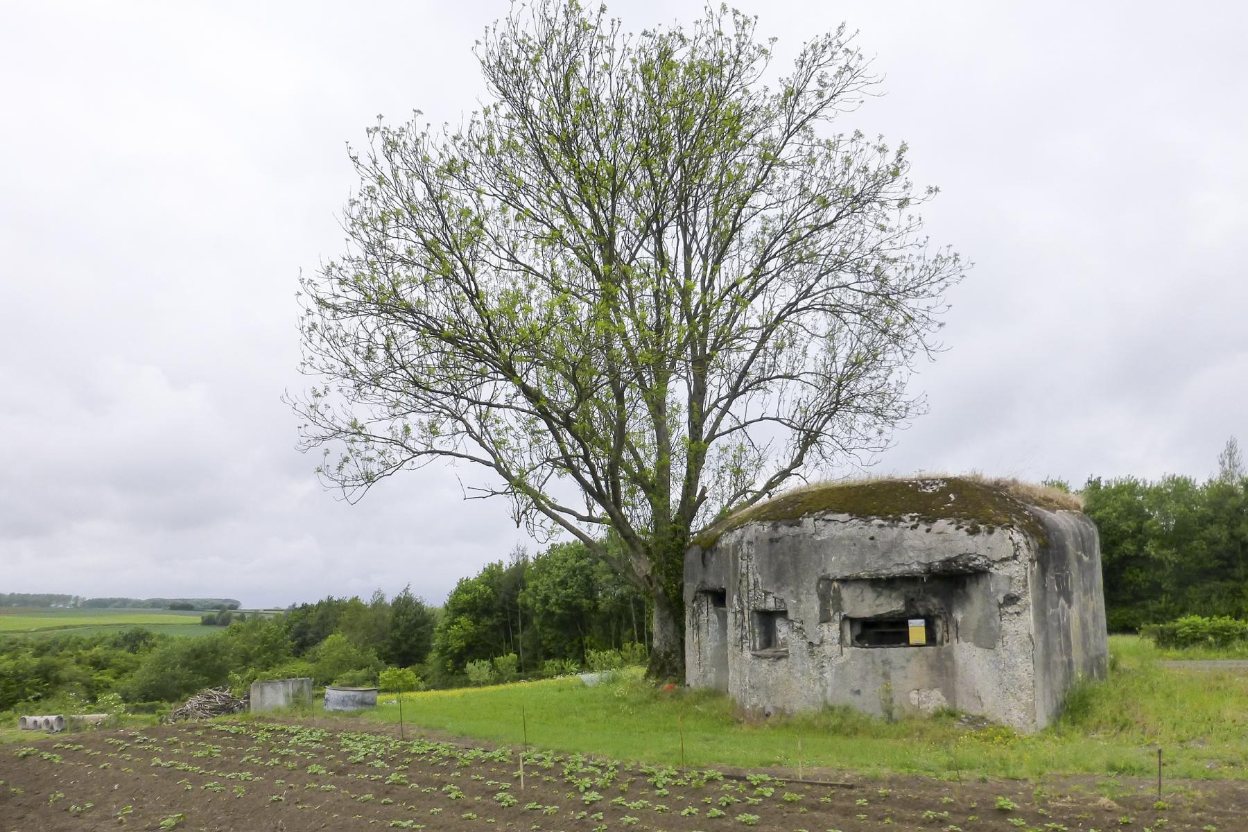 Ligne Maginot - B544 - L'HOGNEAU - (Blockhaus pour canon) -  - ukmaginot