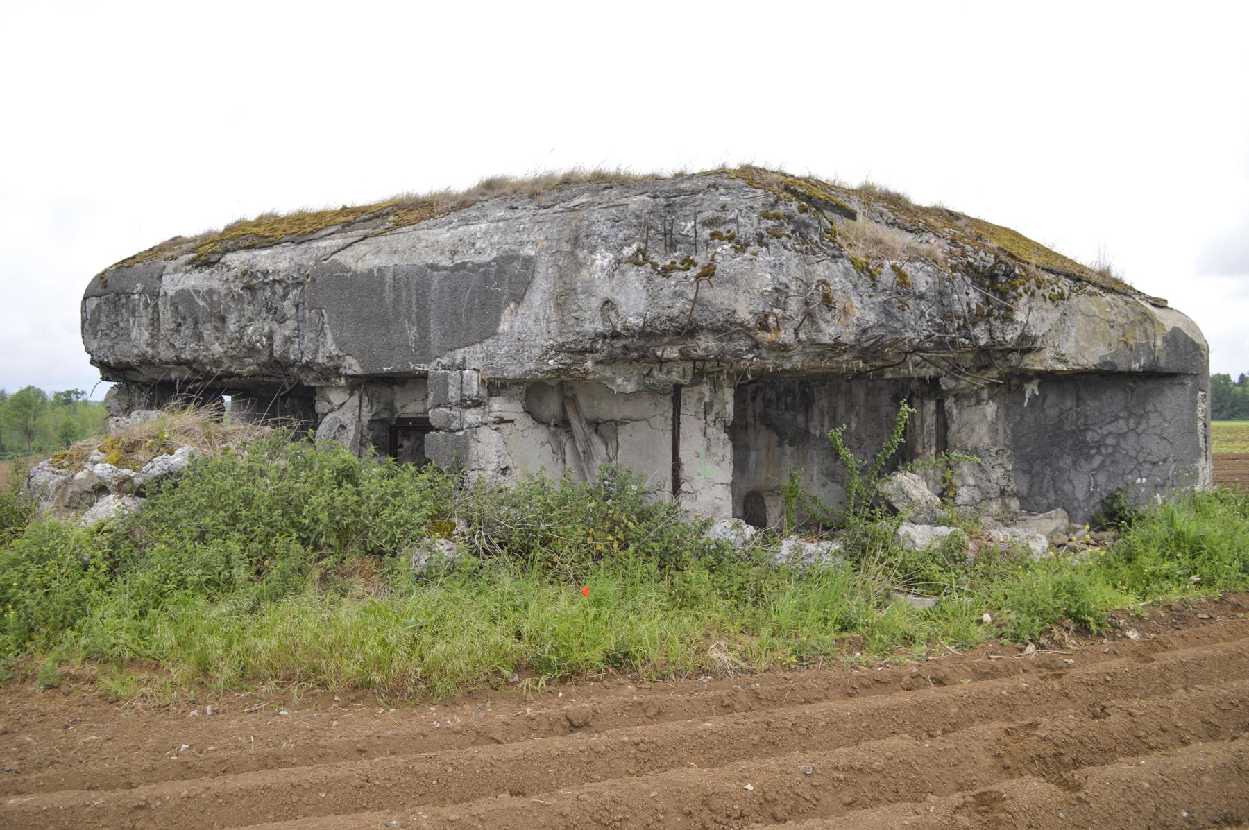 Ligne Maginot - B545 - SAINT WAAST LA VALLEE - (Blockhaus pour canon) -  - ukmaginot