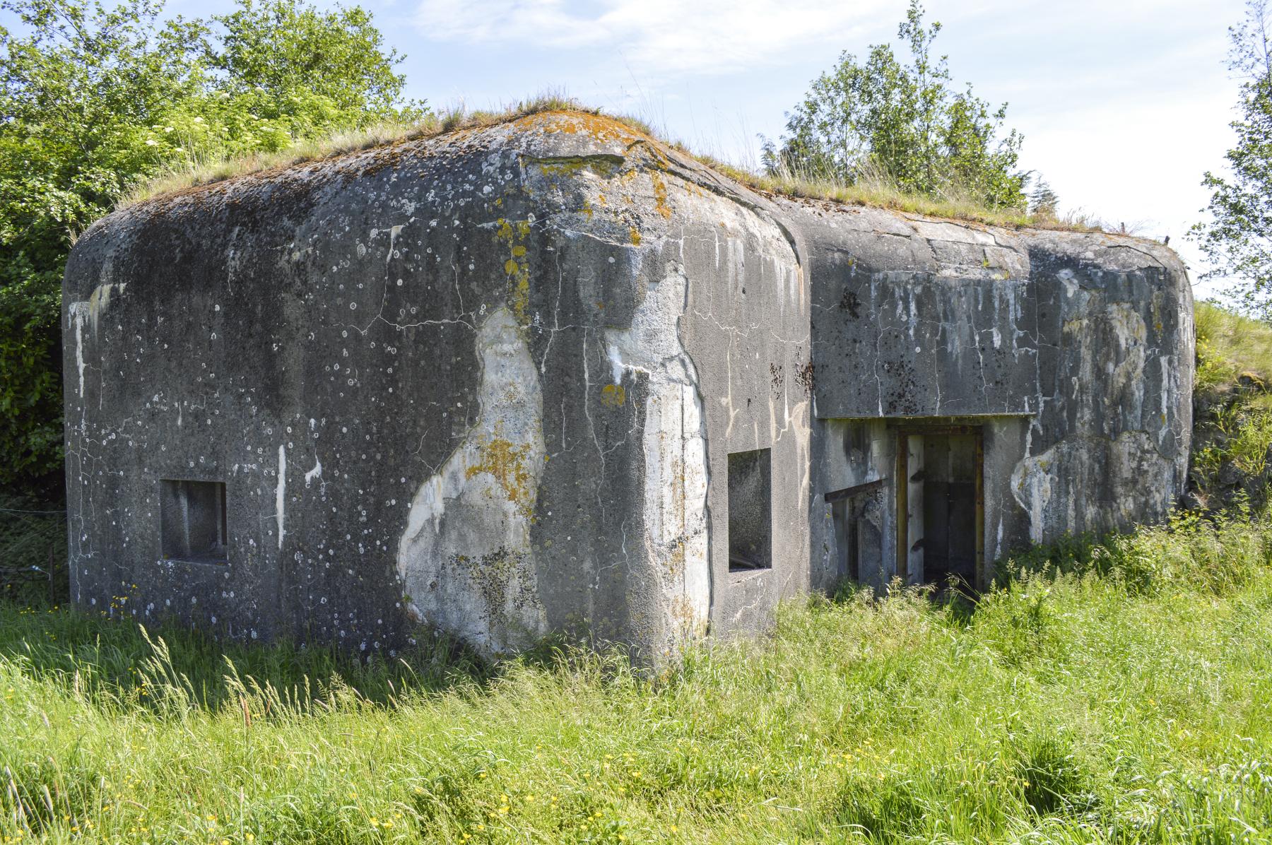 Ligne Maginot - BRUILLE SUD 1 - (Casemate d'infanterie - Simple) -  - ukmaginot