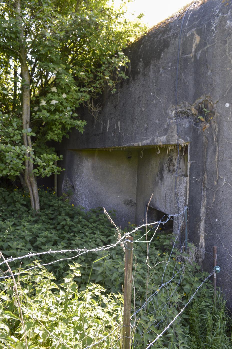 Ligne Maginot - BRUILLE SUD 1 - (Casemate d'infanterie - Simple) -  - ukmaginot
