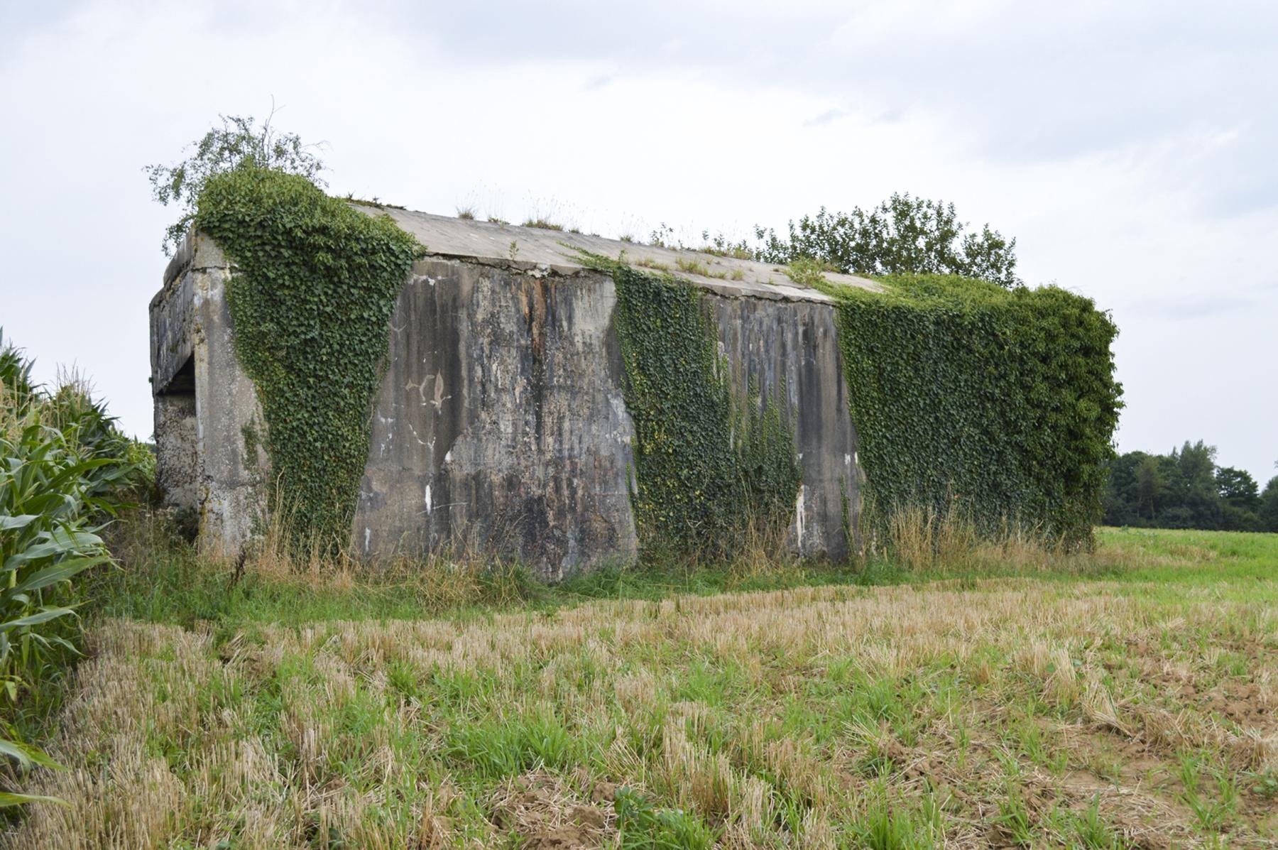 Ligne Maginot - B175 - LEVRETTE - (Blockhaus pour canon) -  - ukmaginot