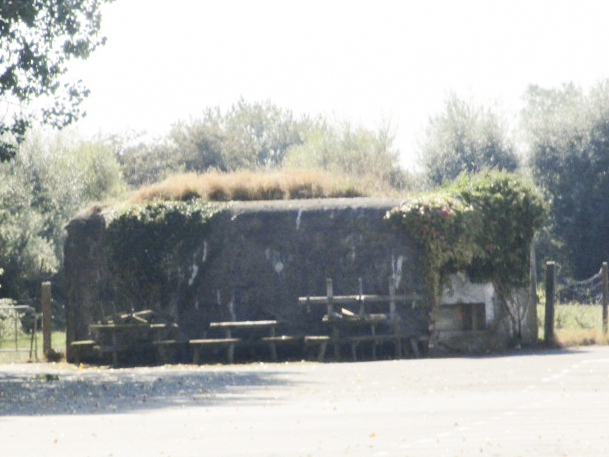 Ligne Maginot - B223 - Le BERTHOF Sud-Est (Blockhaus pour canon) - Visible de la D 993 - Route de Lille. Intérieur de la boîte de nuit 'le Manoir'. - Smardz Félix