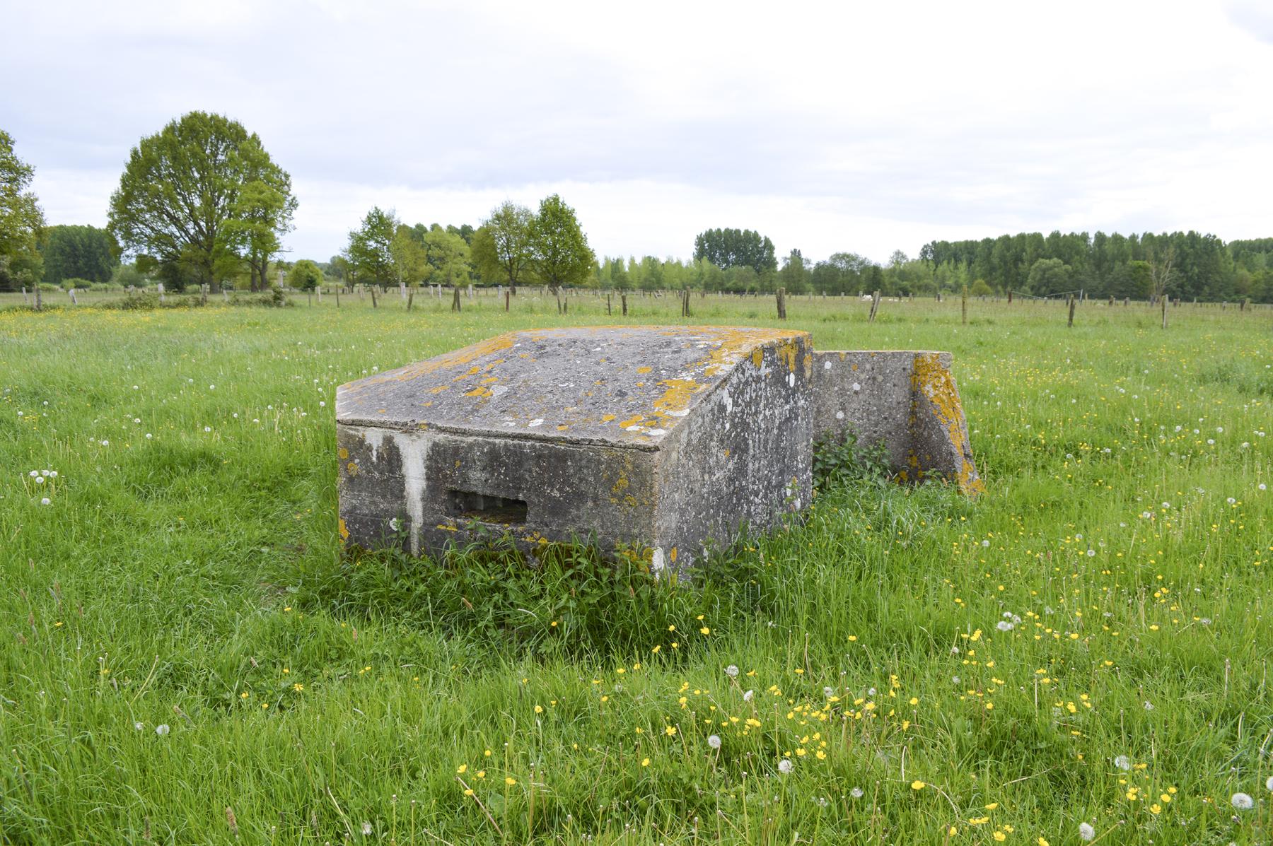 Ligne Maginot - B327 - BOIS DU SARTEAU - (Blockhaus pour arme infanterie) -  - ukmaginot