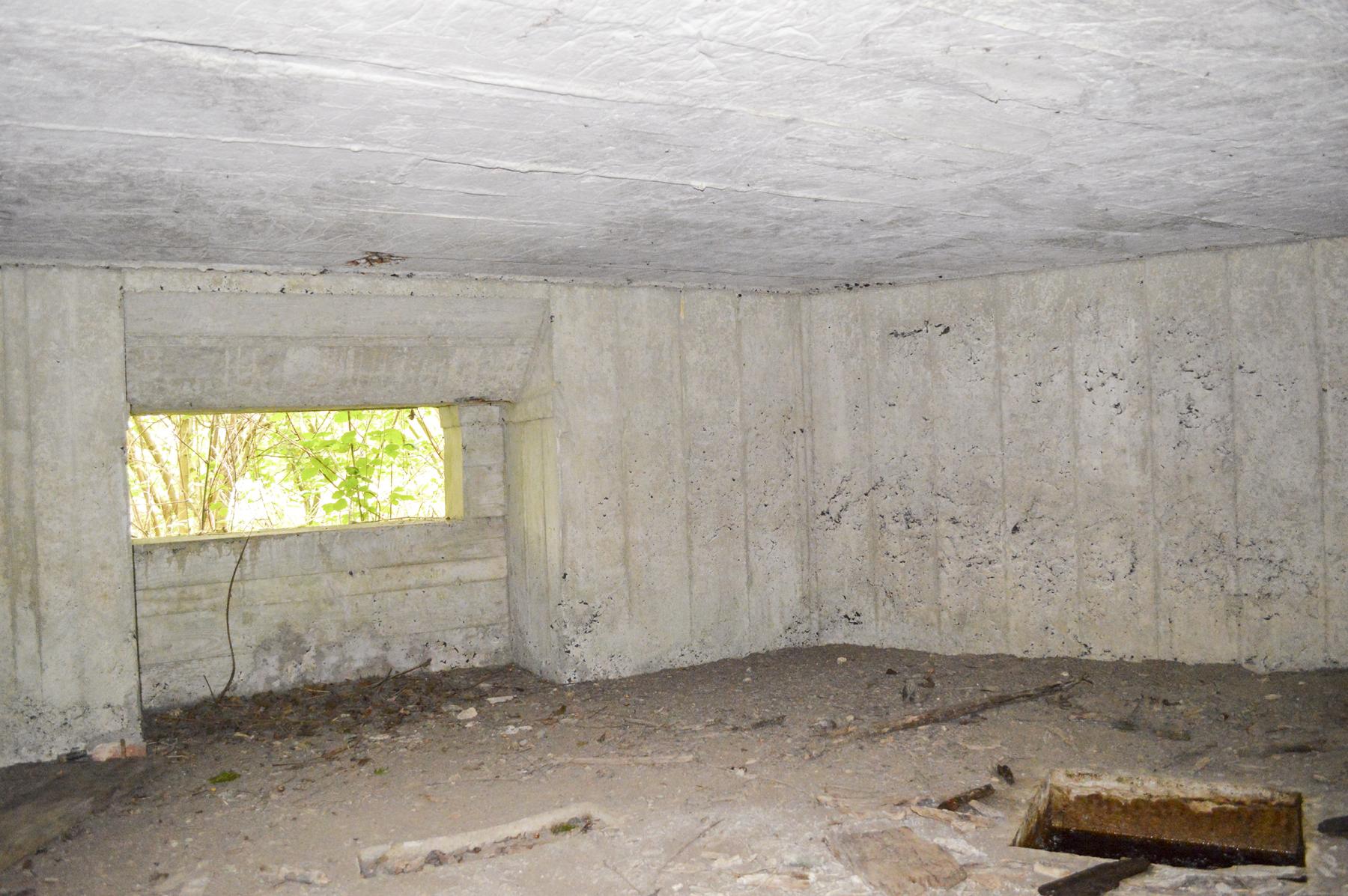 Ligne Maginot - B347 - BOIS DE VARLET SUD 2 - (Blockhaus pour canon) -  - ukmaginot